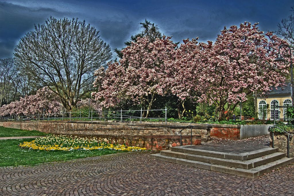 Aschaffenburg - Schöntal Park & Hofgarten