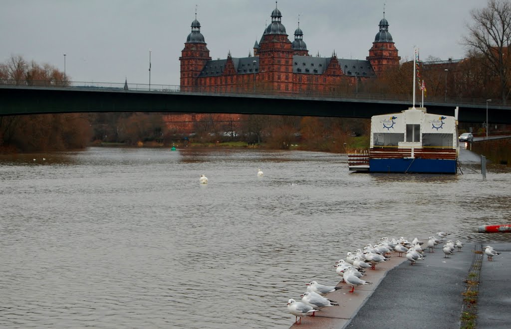 Aschaffenburg - Hochwasser im Hafen 01.2012 (Flood) - Restaurant Arche Noah am Floßhafen