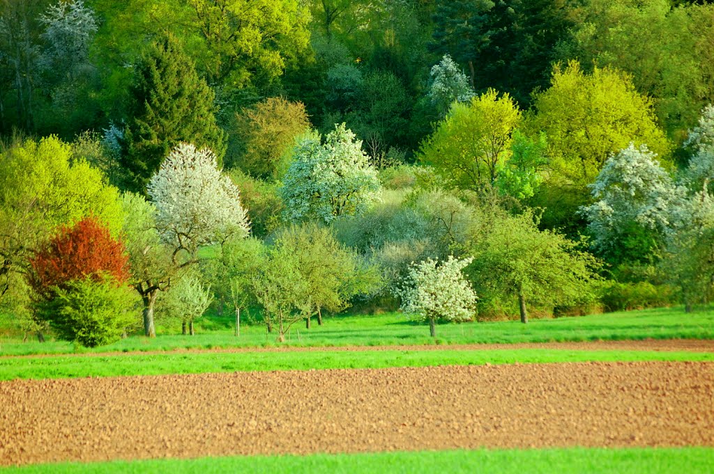 Aschaffenburg - Endlich: Der Frühling ist da!