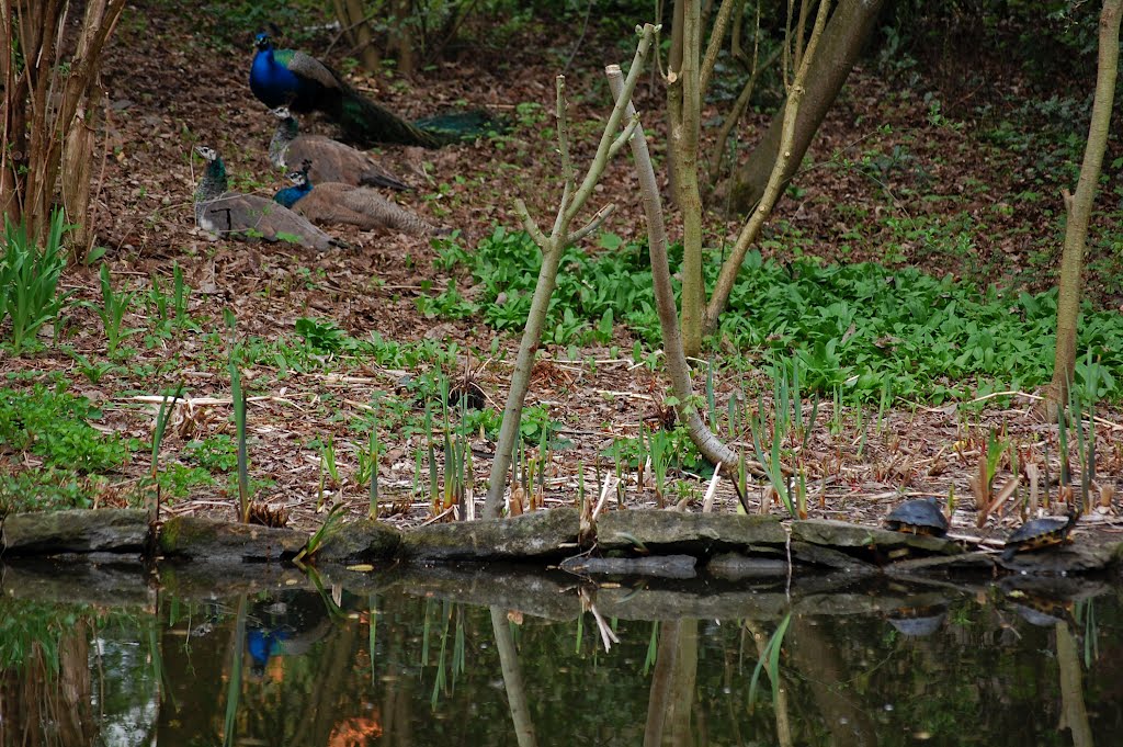 Aschaffenburg -- Park Schöntal