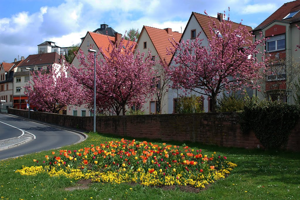 Aschaffenburg -- Endlich: Der Frühling ist da!