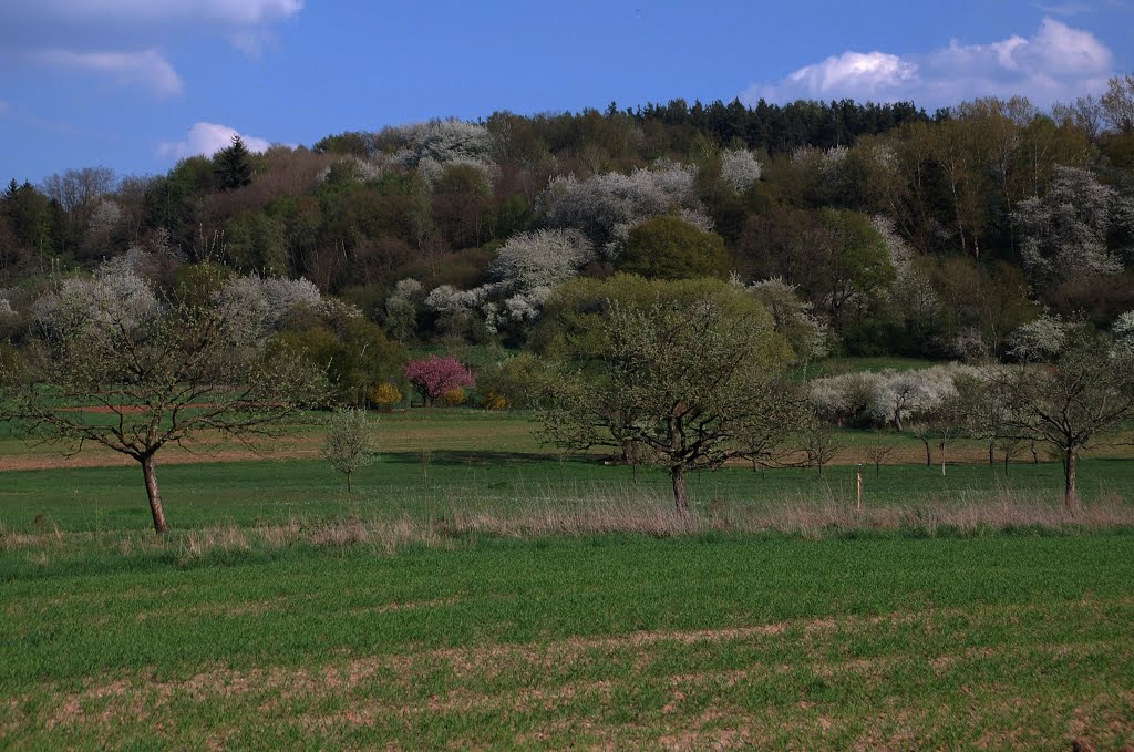 Aschaffenburg - Sternberg