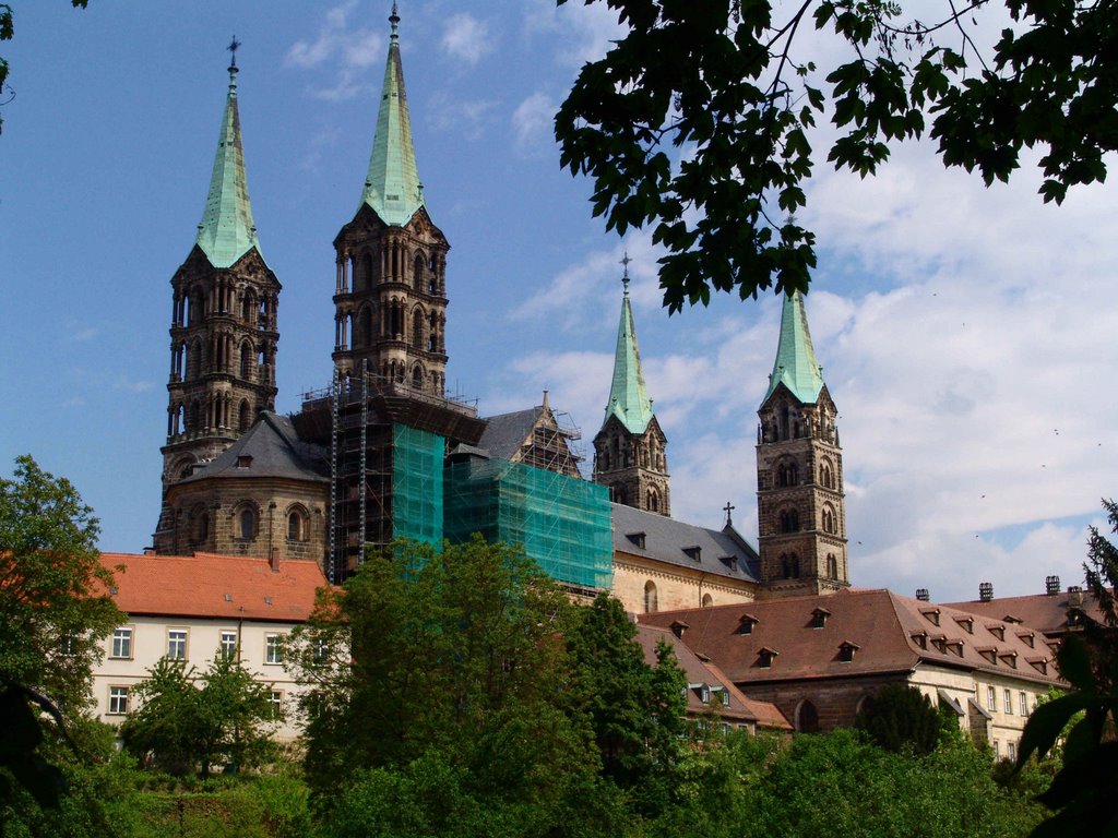 Blick zum Dom