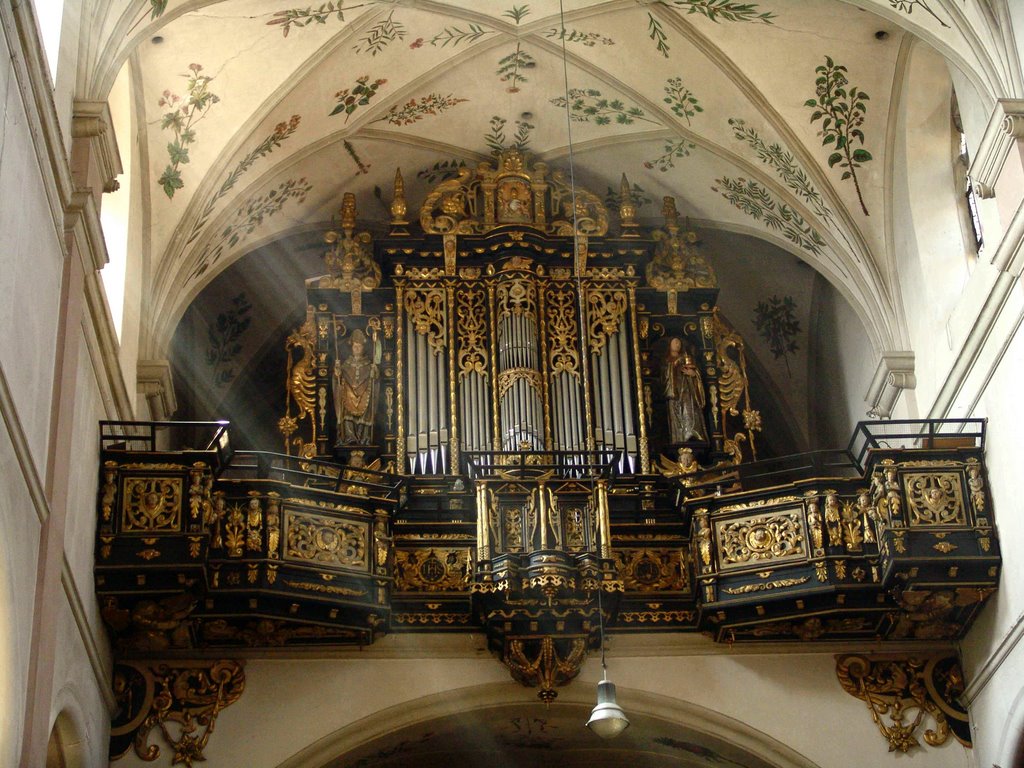 Orgel