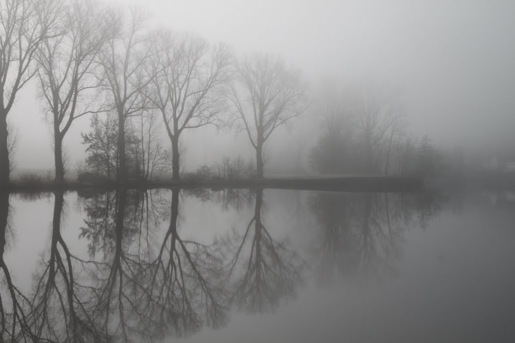 Im Nebel