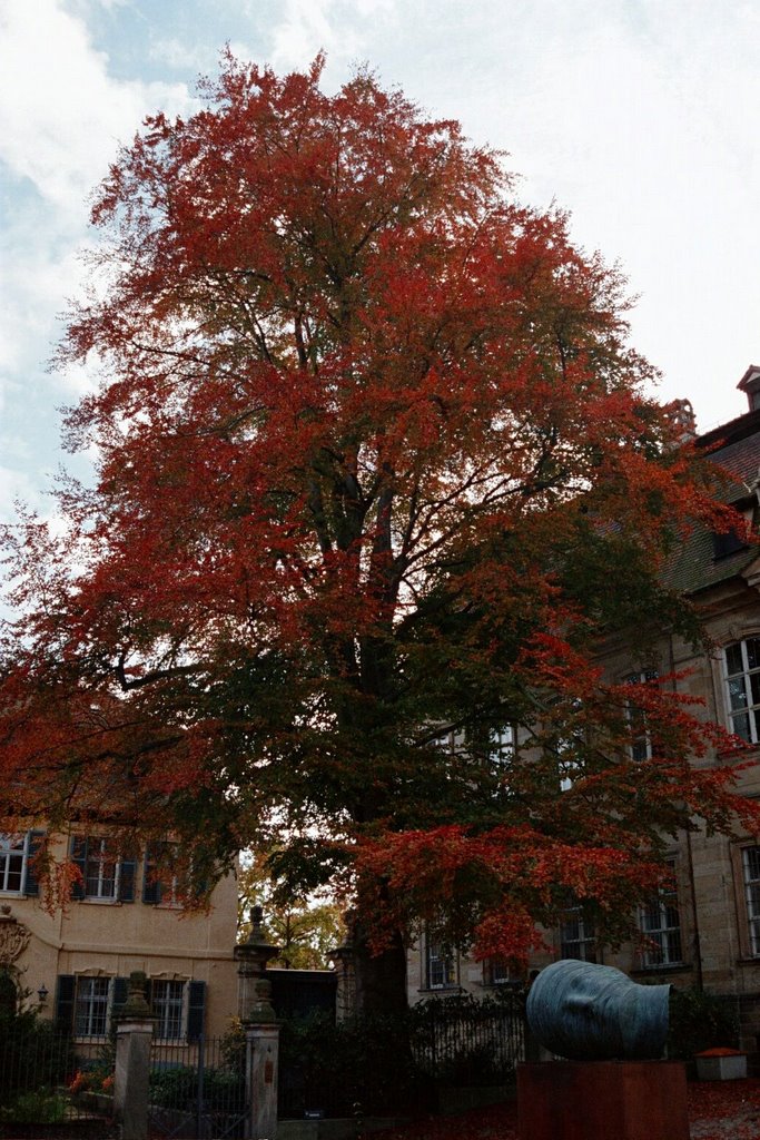 Bayern_Bamberg_unknown
