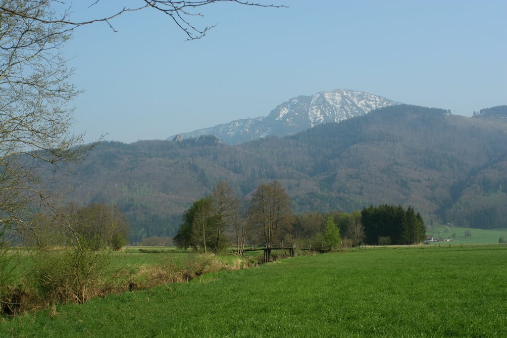 Wildmoos - Blick auf Hochfelln