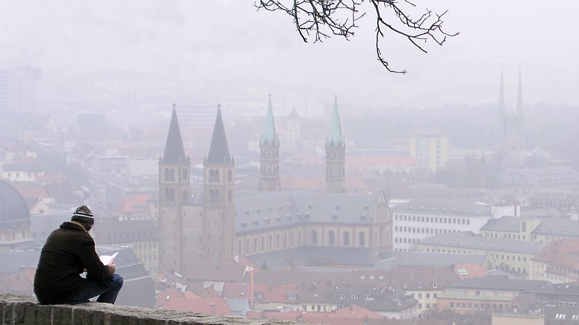 Würzburg view