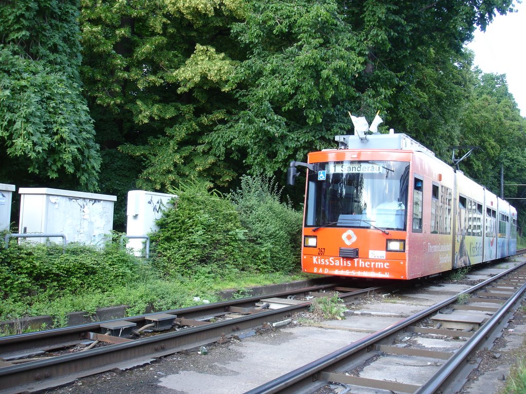 worzburg