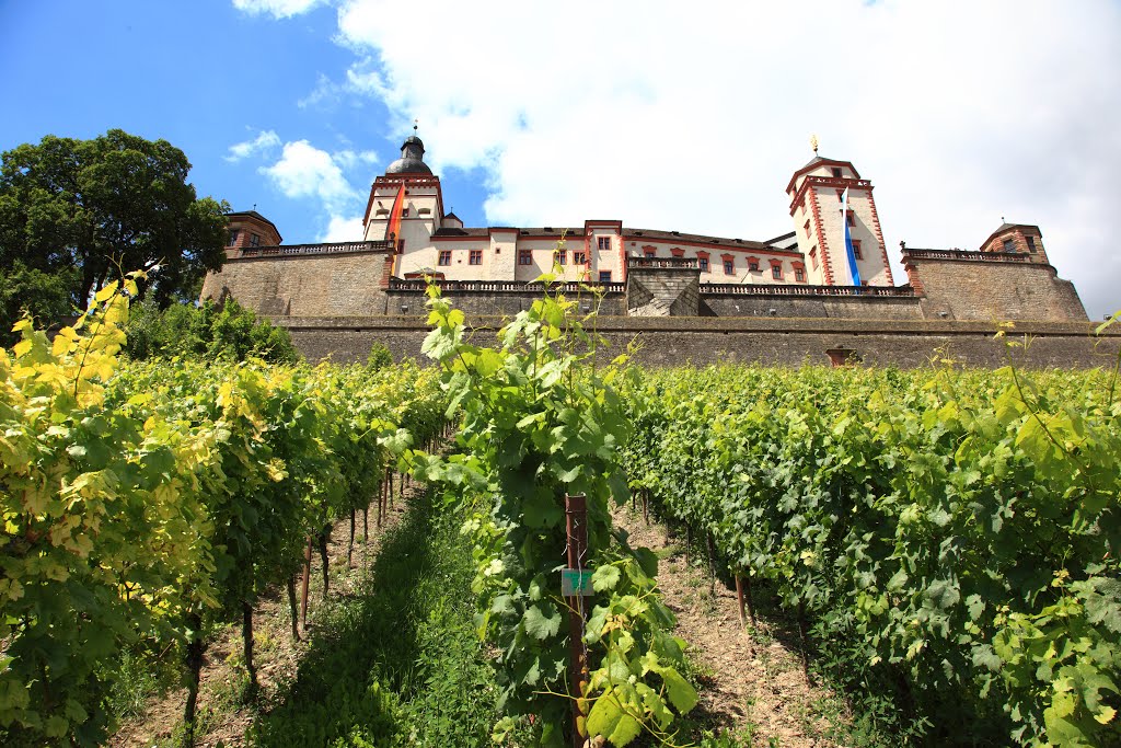 Festung Marienberg oberhalb Weinberg, Würzburg