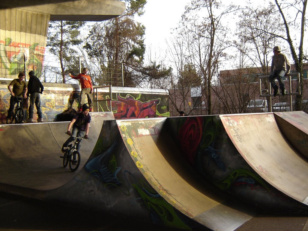 Youngs Power Erlangen Germany