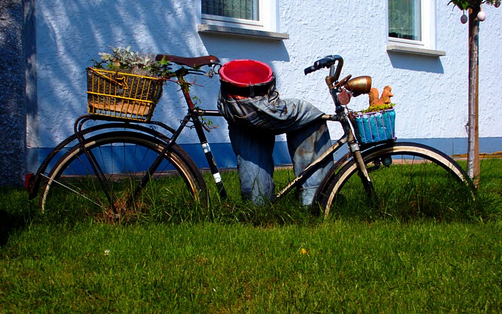 Gut eingewachsenes Fahrrad