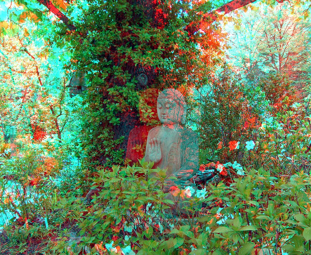 Anaglyph - Erlangen - Botanischer Garten
