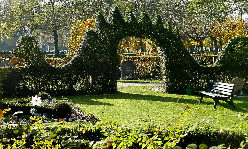 Tatzelwurm im November