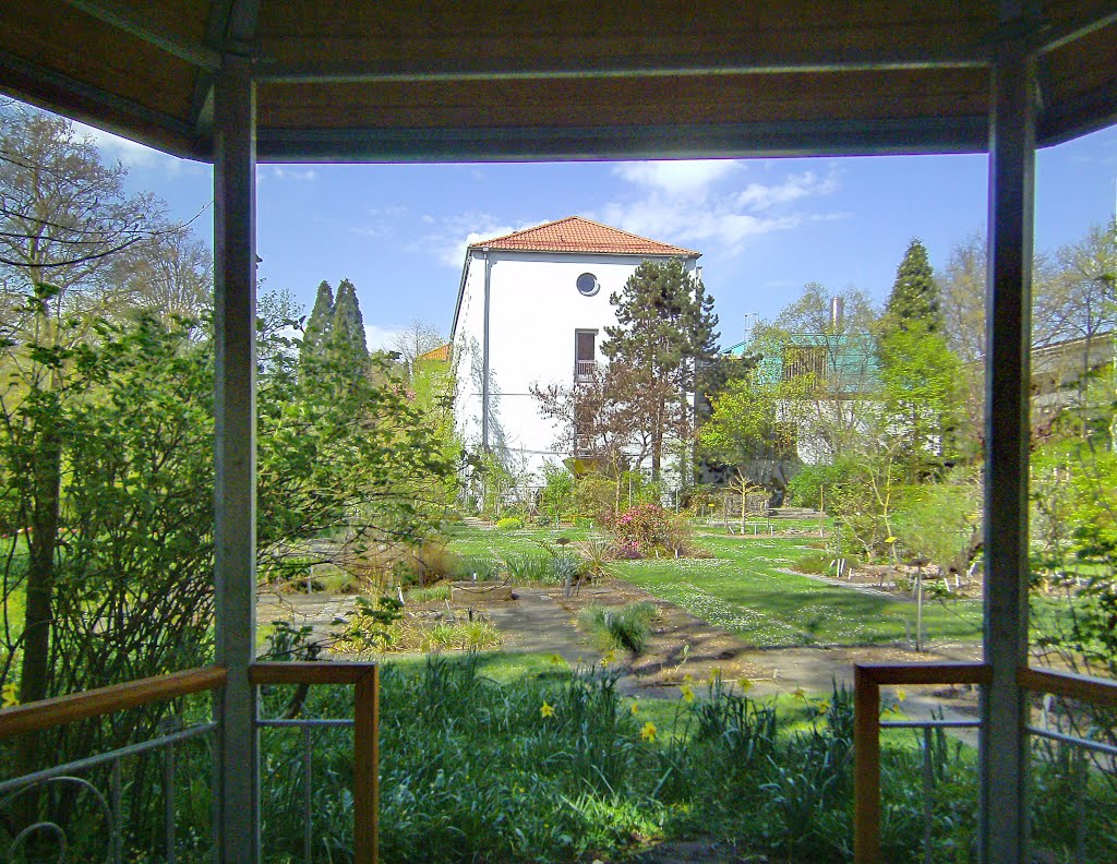Der Arzneigarten im April