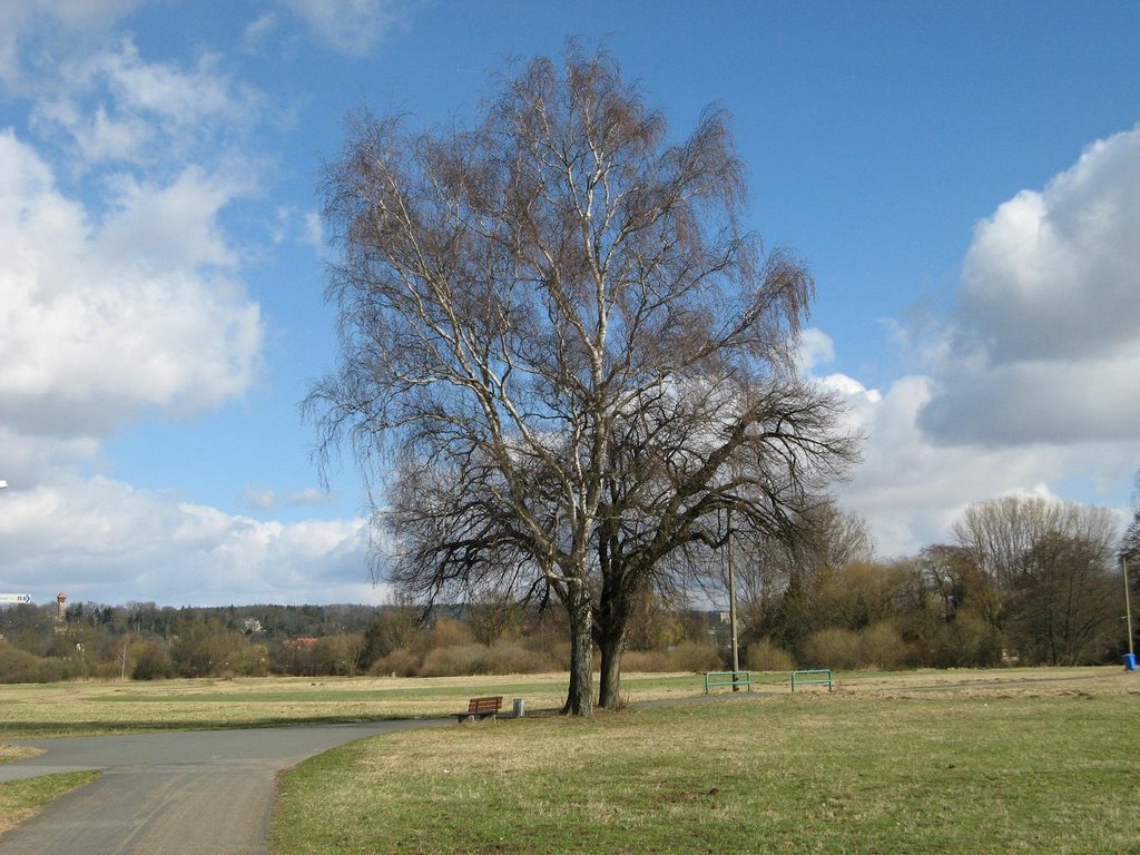 ERLANGEN- Weisenweg