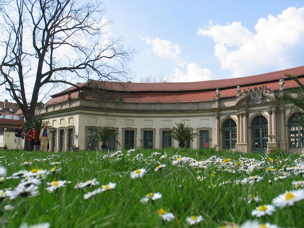 Orangerie
