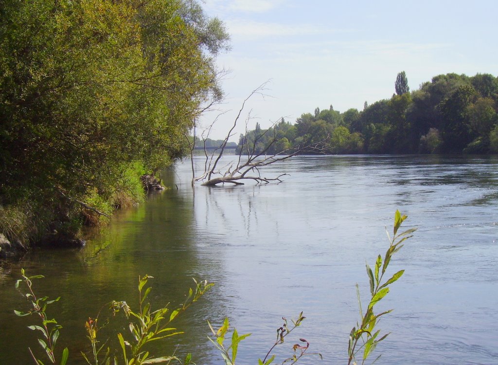 I.-Die Donau