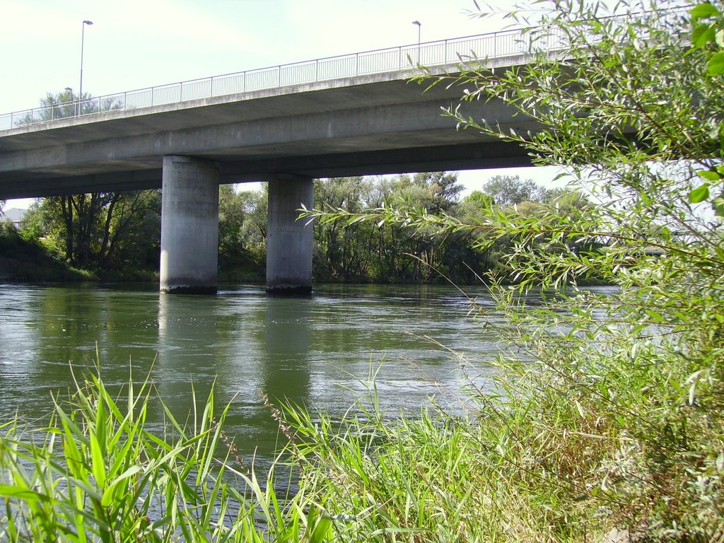 I.-Schillerbrücke an der Donau