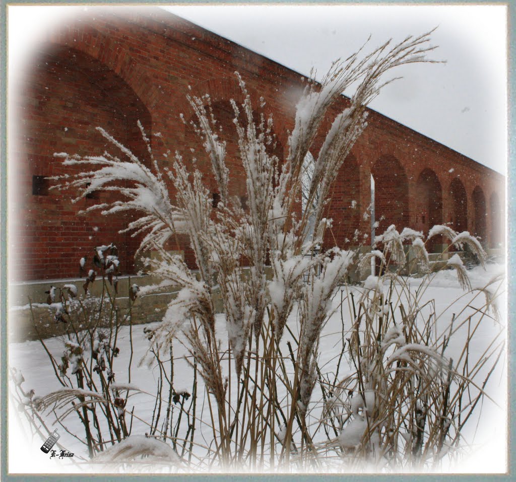 Es schneit...und schneit...