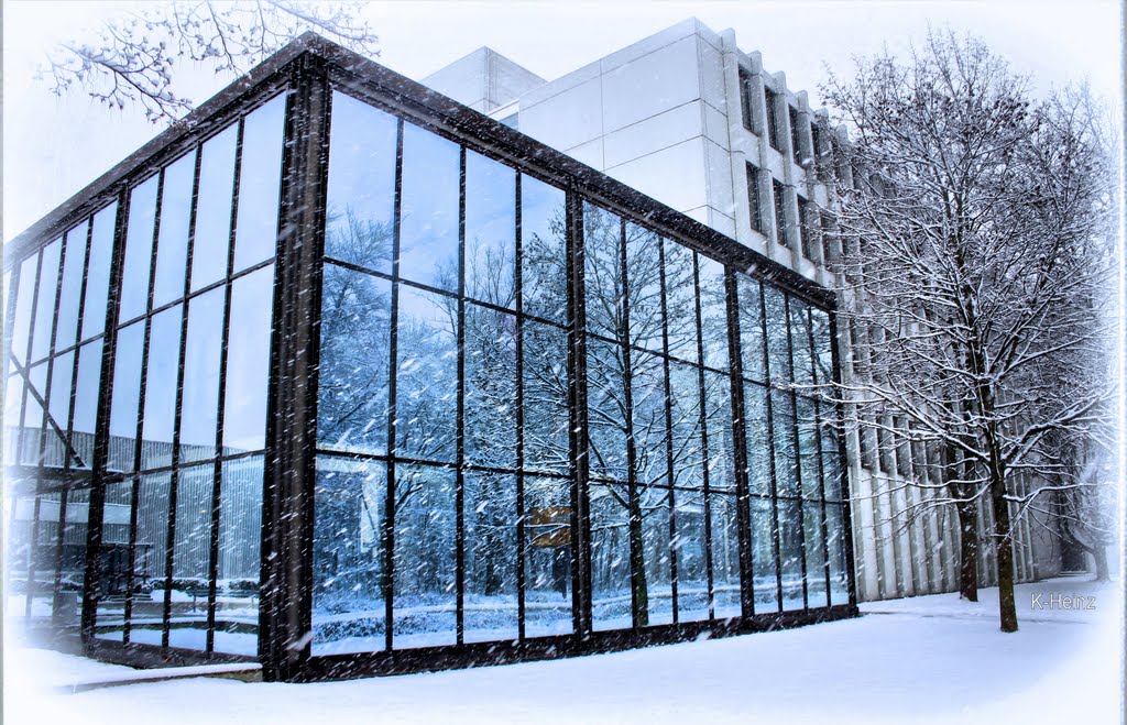 Glashaus mit Spiegel der Umgebung