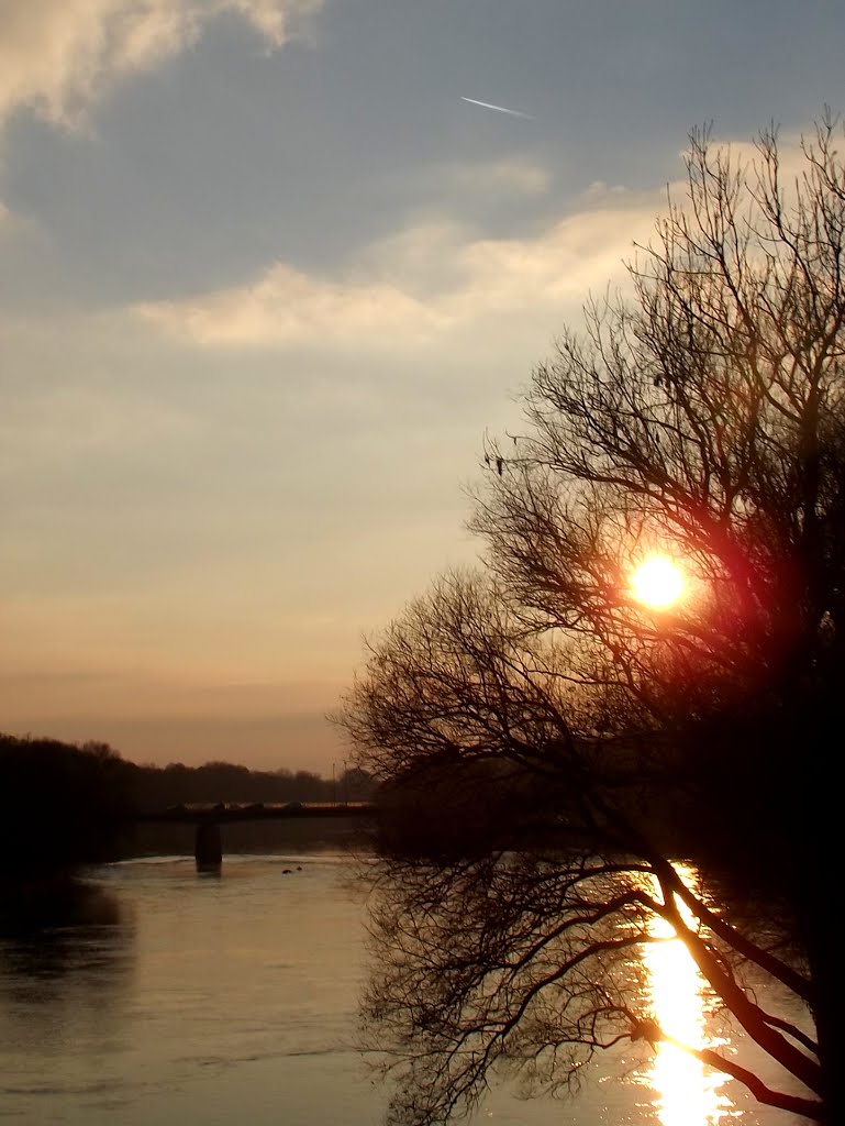 Der Donau ....
