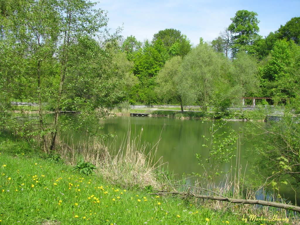 See im Engelhaldepark