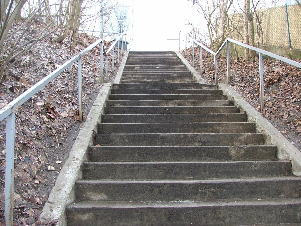 Boleitetreppe