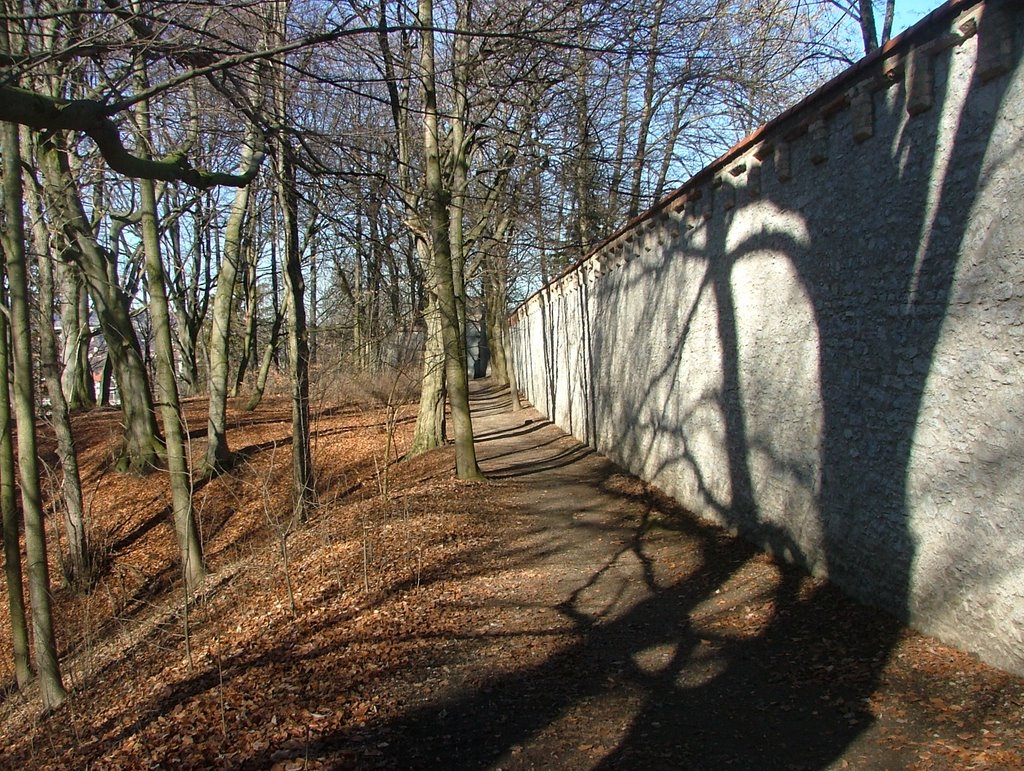 Chapuis Mauerweg