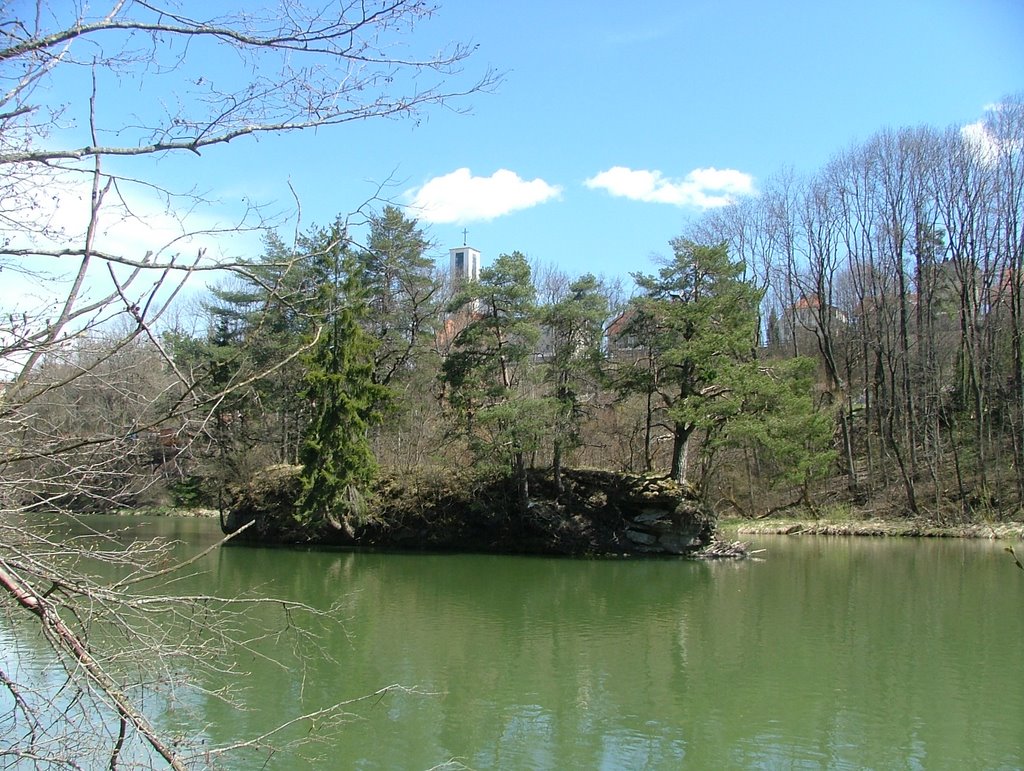 Die Georgfelseninsel in der Iller,vornehmlich bewachsen mit Föhren