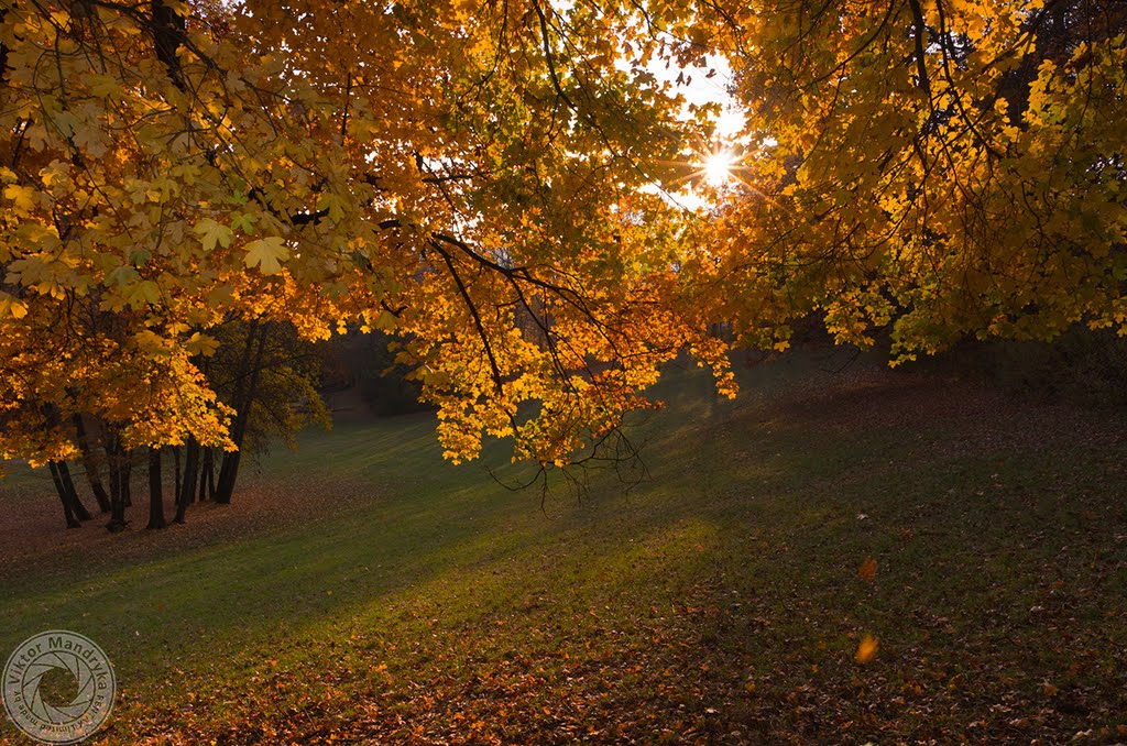 Autumn