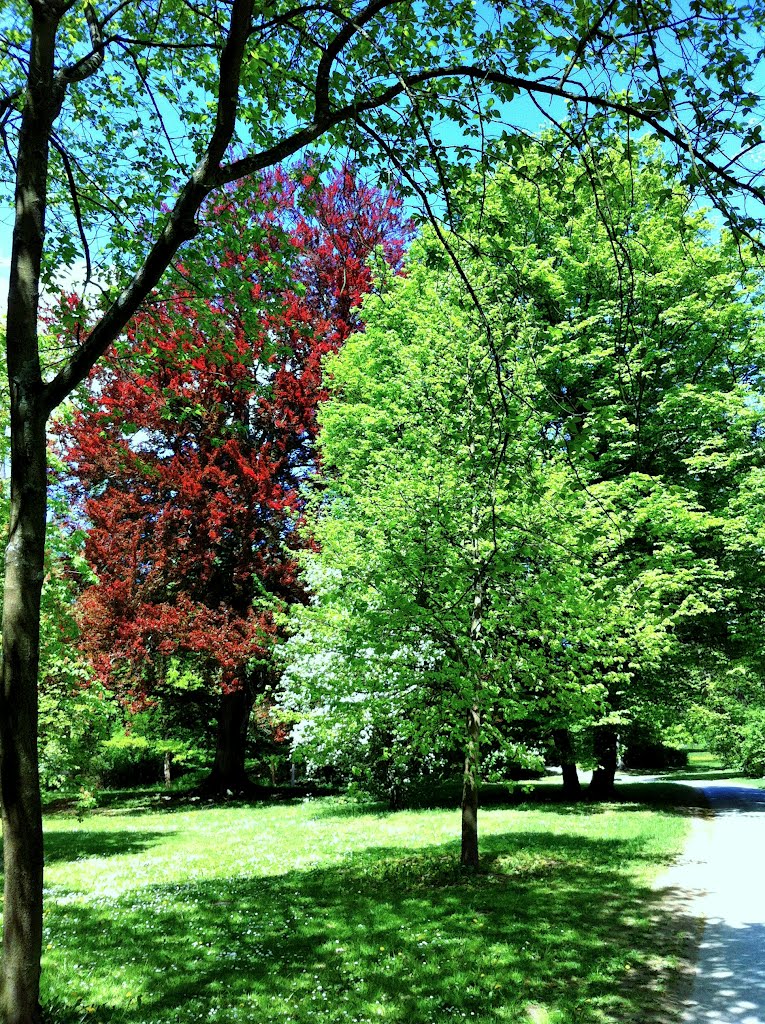 Park
