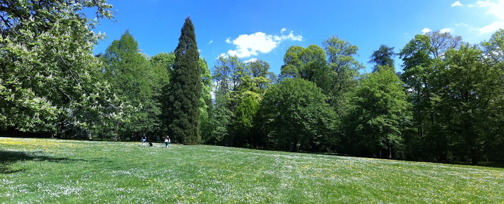 Park in Coburg
