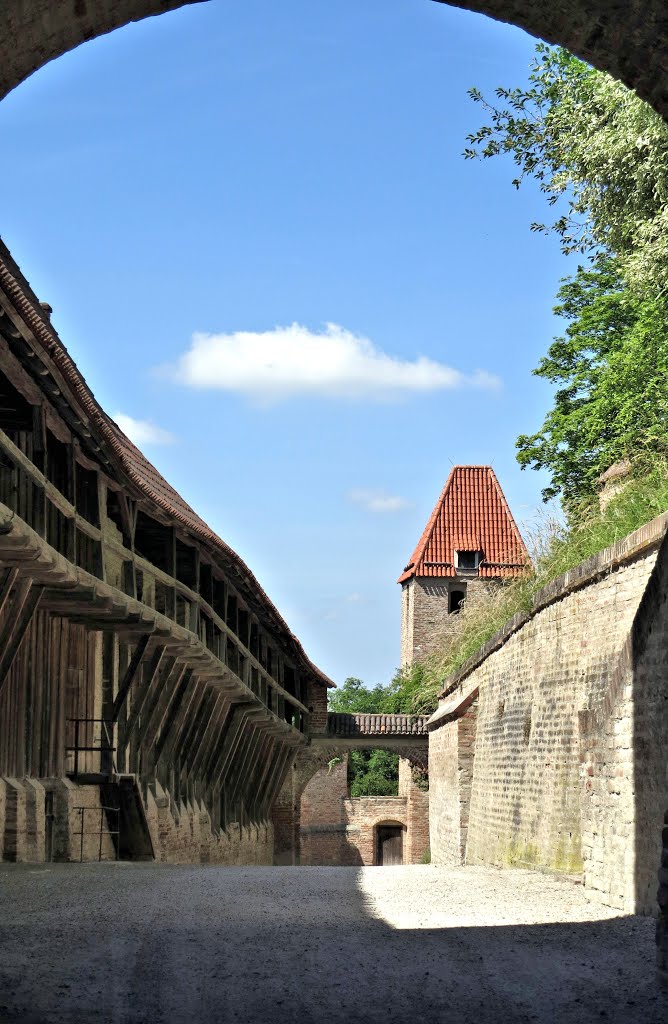 Landshut, Burg Trausnitz,  Juni 2014