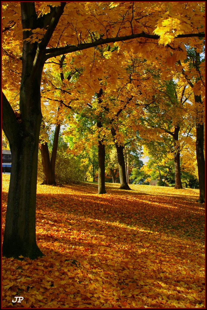 AUTUMN  IV