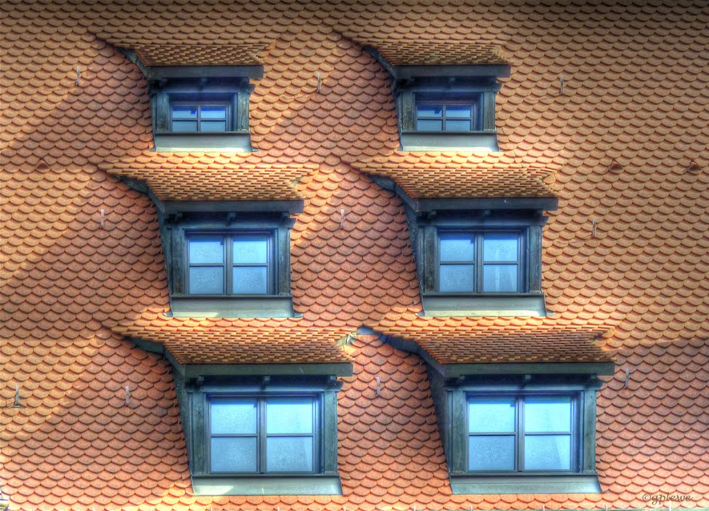 Gauben / Dormers