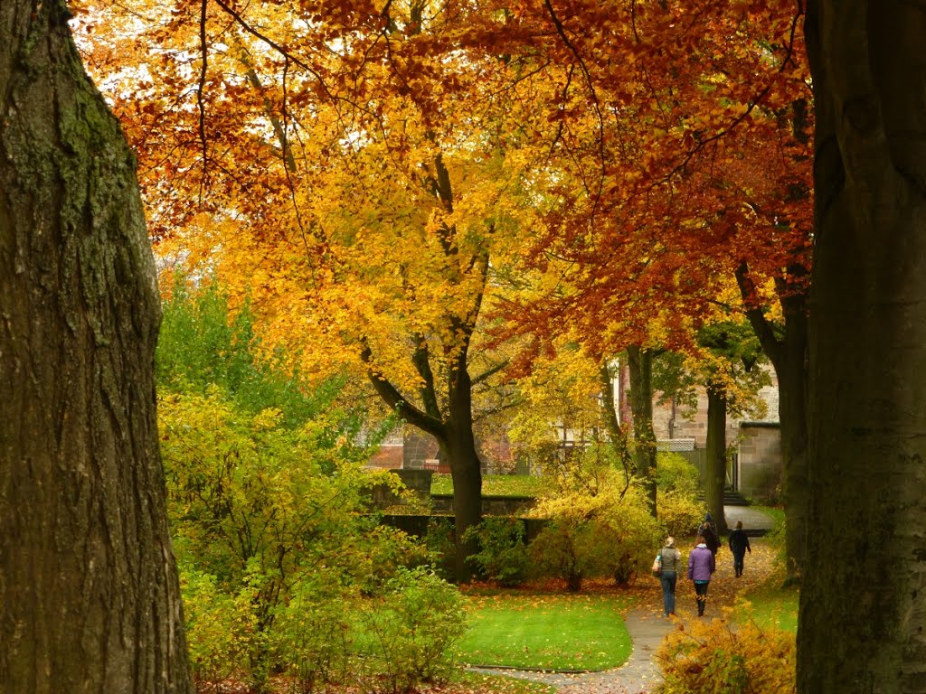 Herbst in Nürnberg