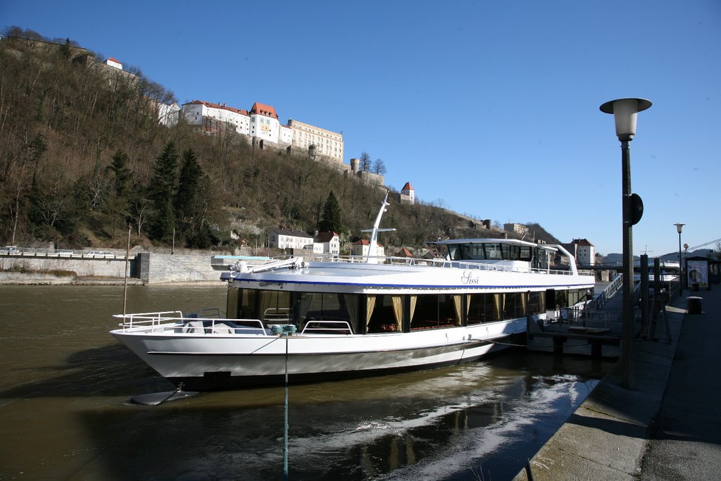 An der Donau II