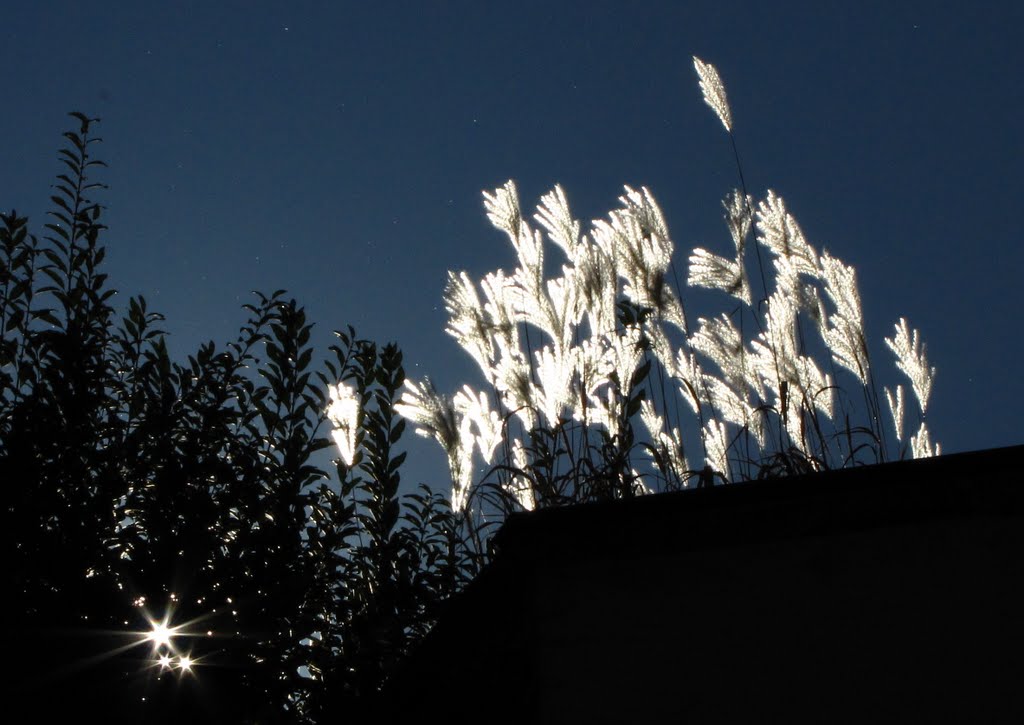 Lights and shadows in Passau