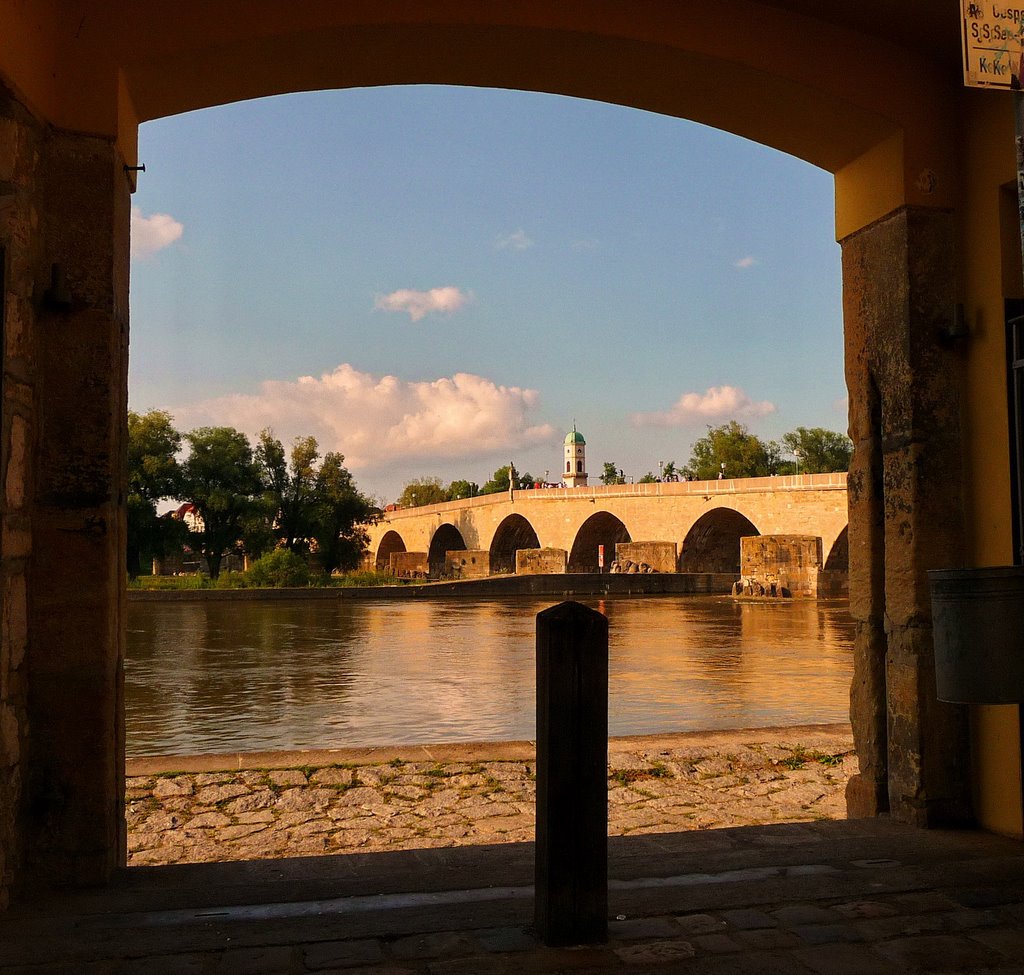 Donaublick