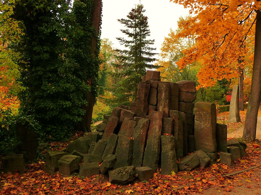 Basalt im Herzogpark