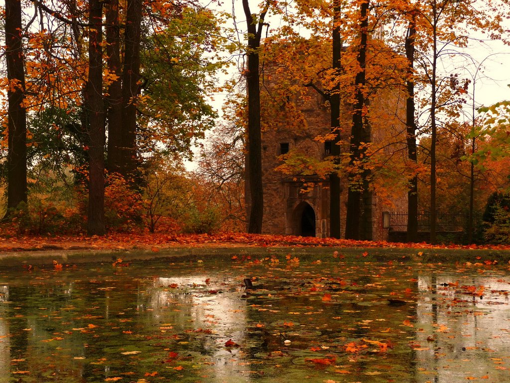 Herzogspark