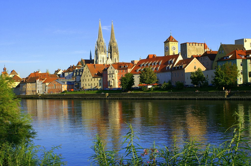 My city