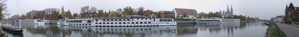 Donau-Panorama