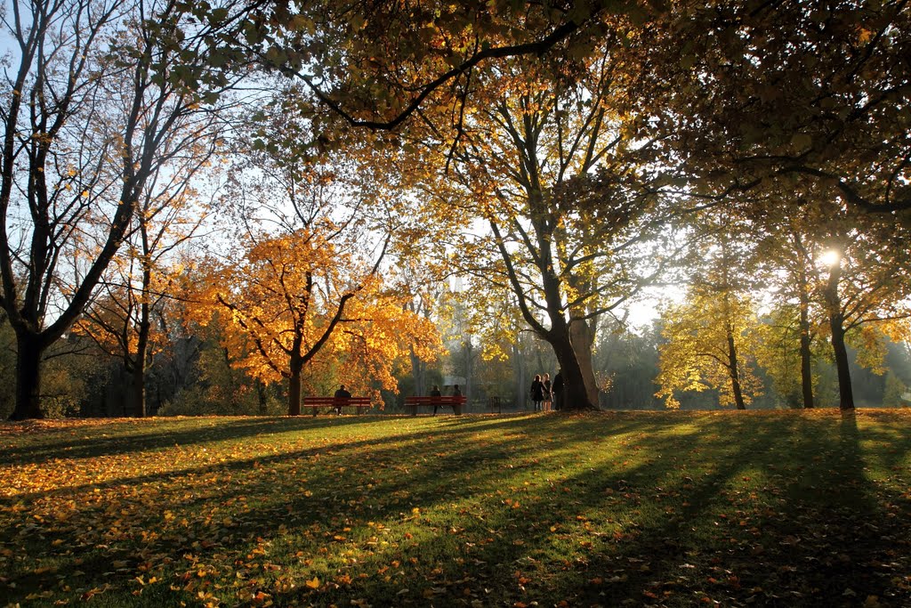 Herbst in Regensburg