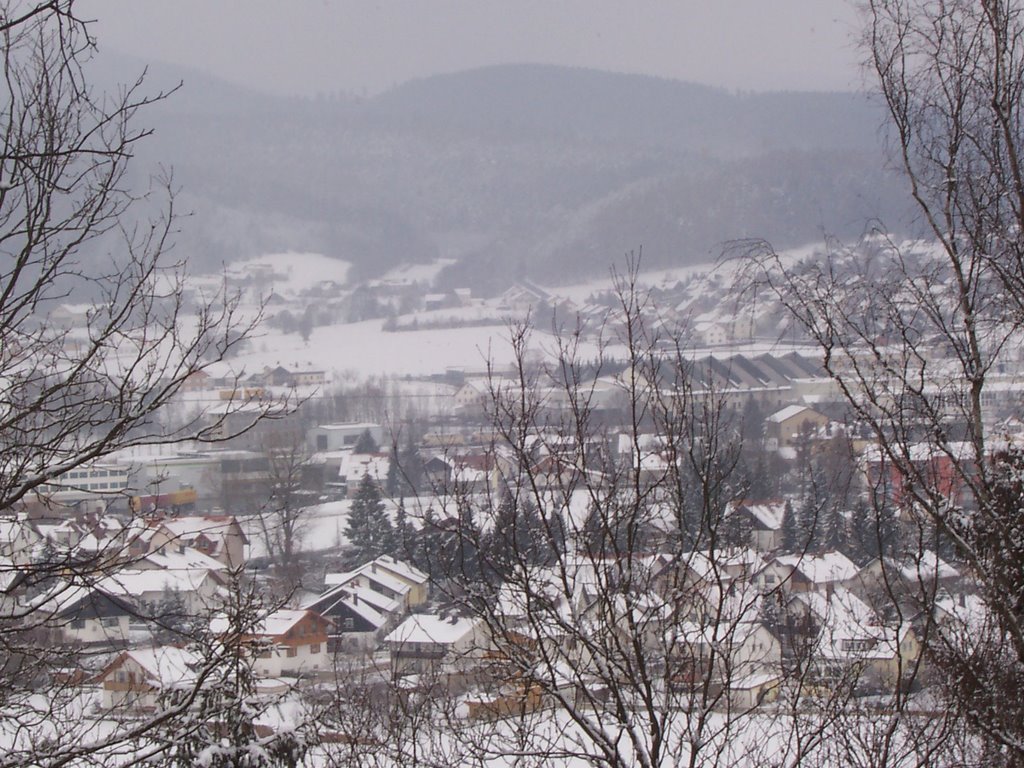 Blick auf Furth vom Göttersitz