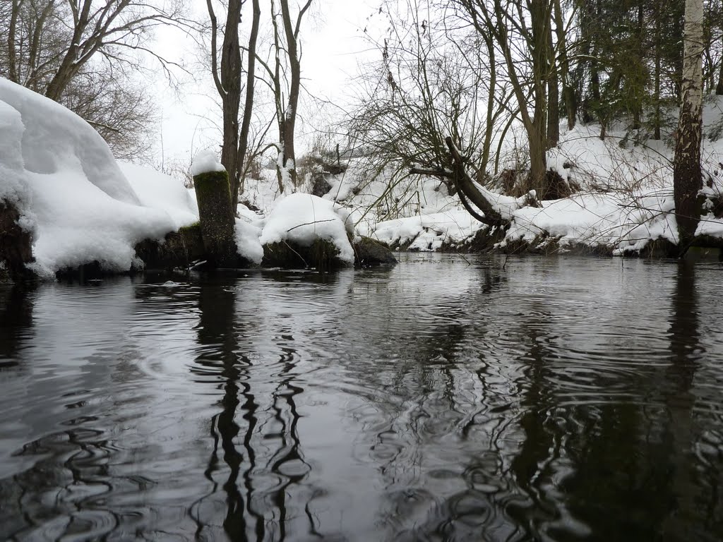 Winter im Wildgarten
