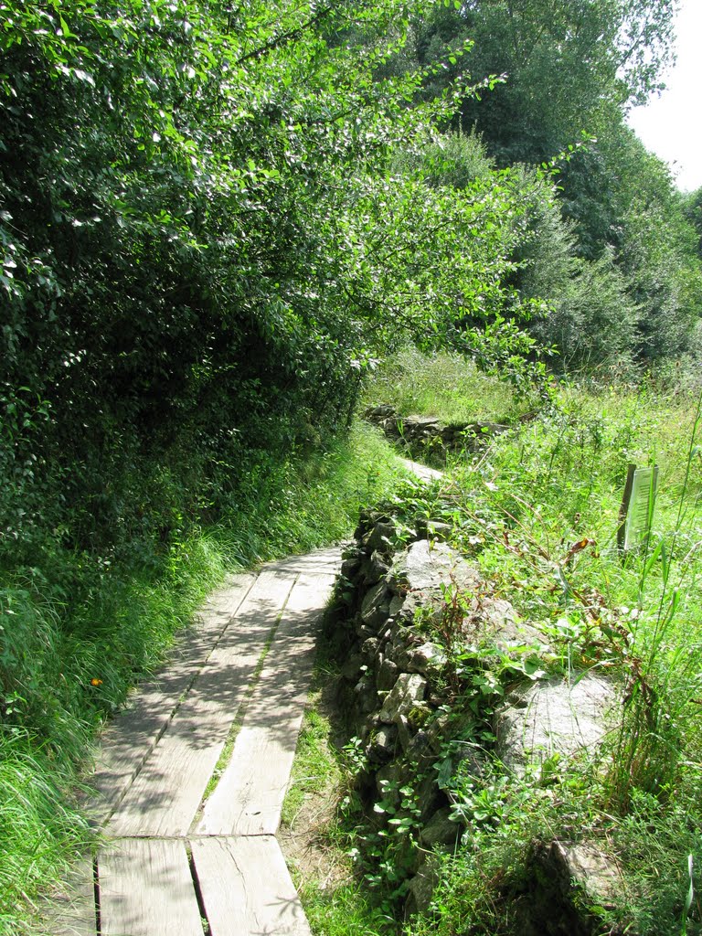 Holzweg