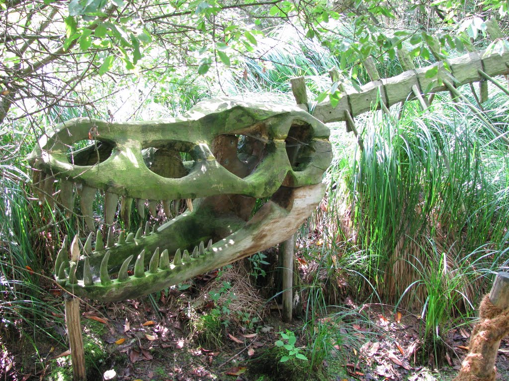 Dino
