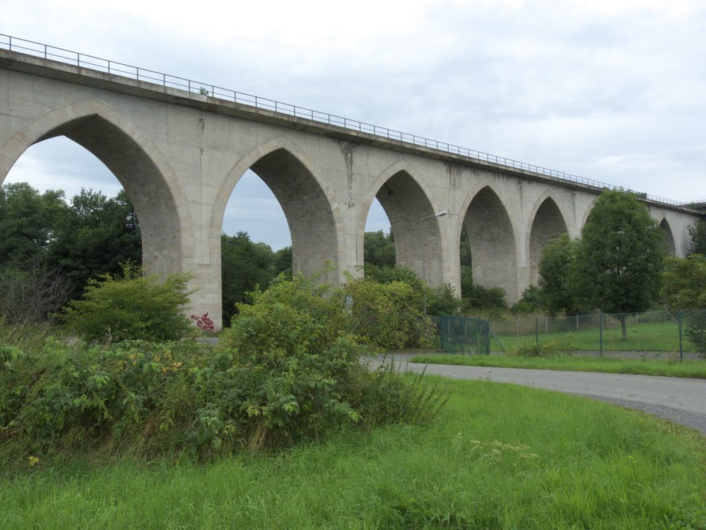 Eisenbahnviadukt Unterkotzau 12.08.2010